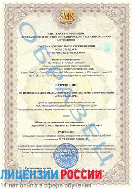 Образец разрешение Мичуринск Сертификат ISO 50001